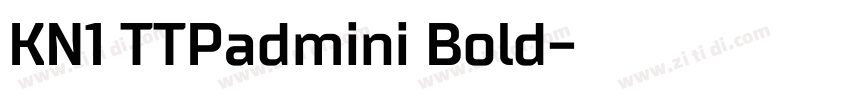 KN1 TTPadmini Bold字体转换